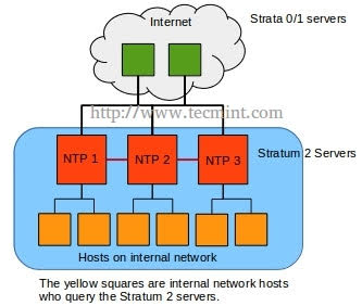 Stratum Levels Defined